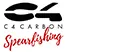 Logo C4